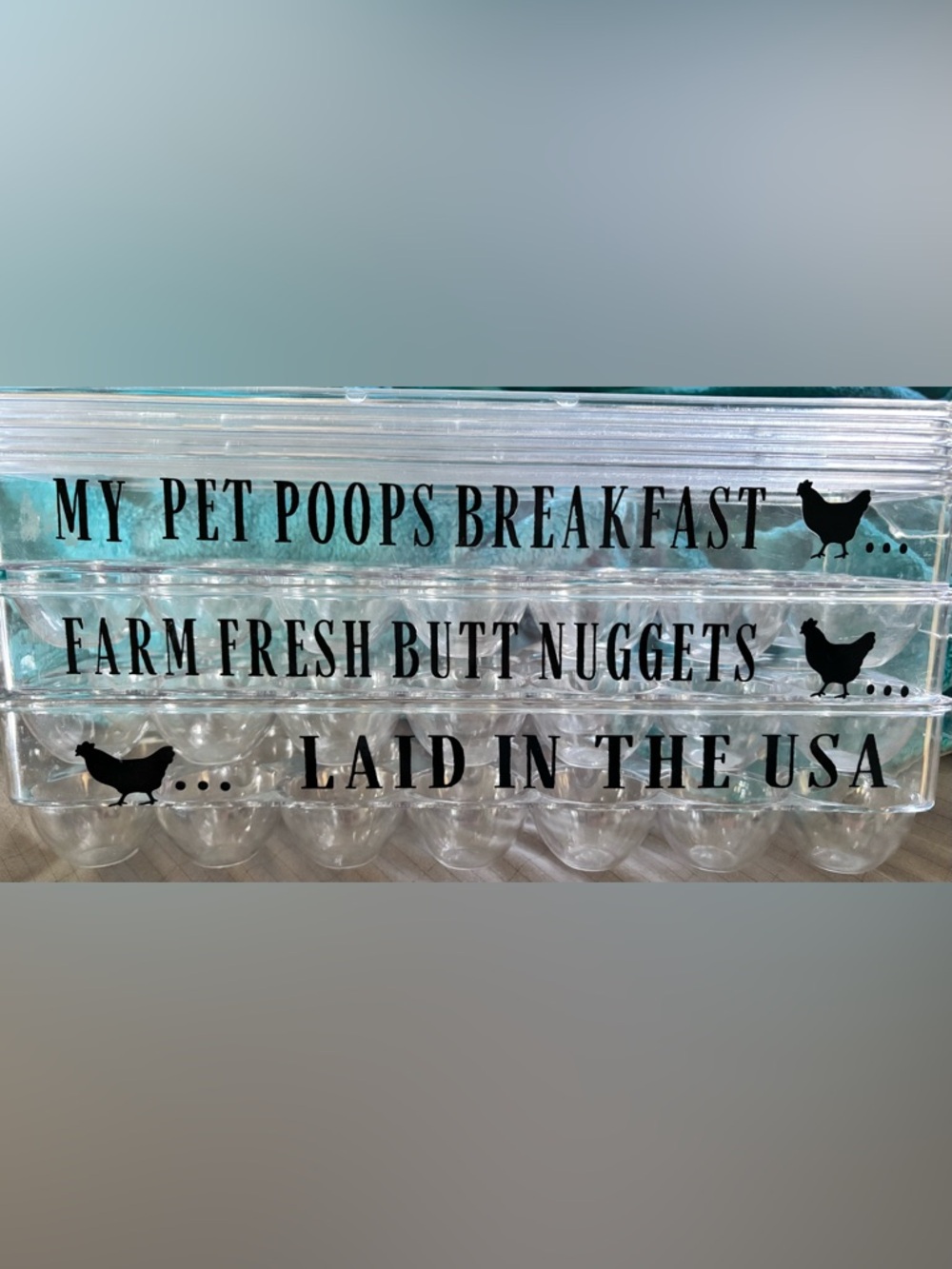 Plastic/resin homemade funny egg cartons